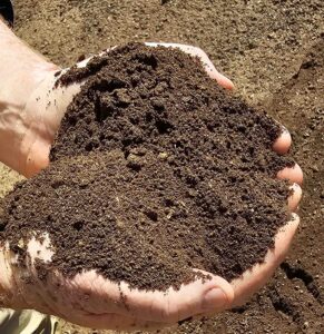 Garden Soil