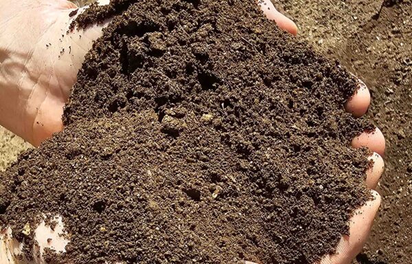 Garden Soil